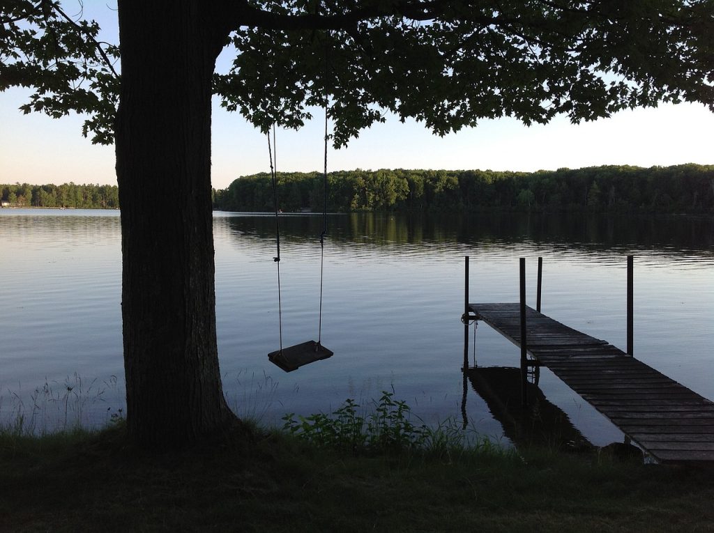swing, lake, nature-495887.jpg